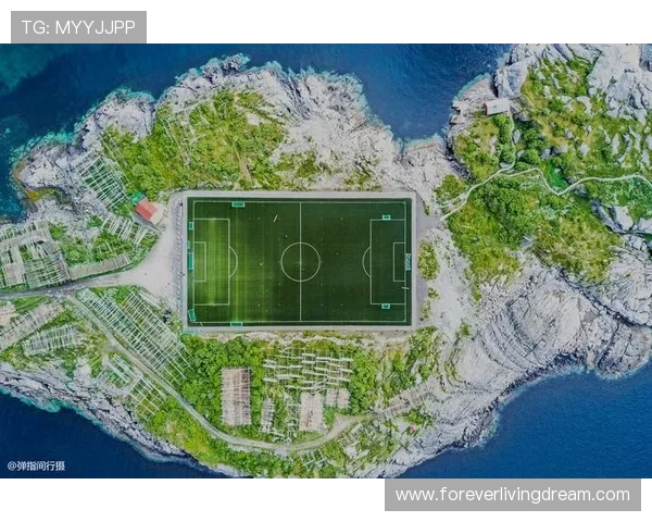 挪威队青训体系：分析其在培养未来足球之星方面的成功之路