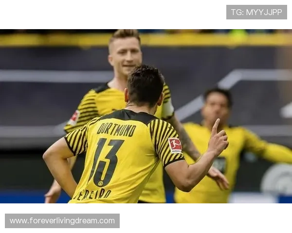 布兰特进球数据刷新纪录，球队状态回暖引发热议分析