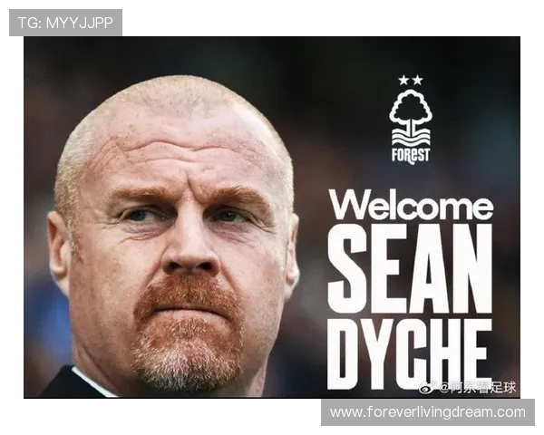 英超肖恩·戴奇埃弗顿