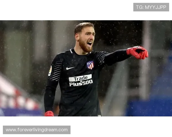 奥布拉克：从1600万身价到顶级门将的成长轨迹解析